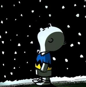 Meet your Posher, Tim